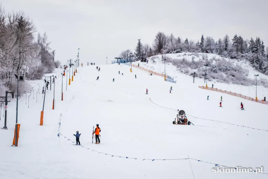 Szczawnica Palenica, zdjęcie 8