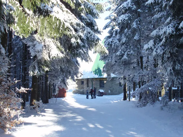 Zima w Beskidach: Szyndzielnia, zdjęcie 6