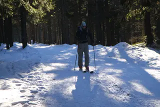 Beskidy: Szyndzielnia i Klimczok, zdjęcie 50