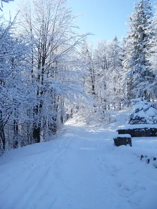 Zima w Beskidach: Szyndzielnia, zdjęcie 57