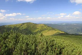 Czerwonym na Babią Górę 1725 m, zdjęcie 61