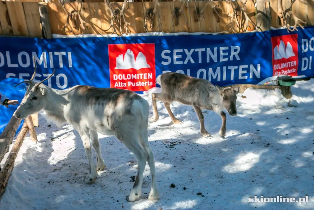 Drei Zinnen Dolomiten w Południowym Tyrolu, zdjęcie 24
