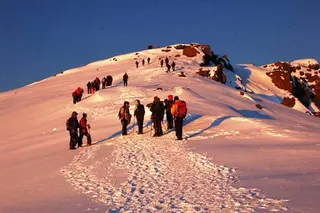 Kilimandżaro, zdjęcie 45