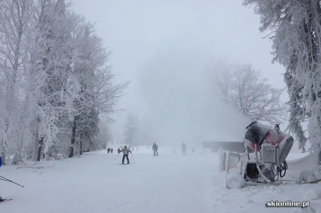 Szczyrk: SON 14.01.2012, zdjęcie 20