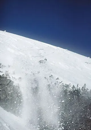 Zdjęcie 20 z galerii Freeride