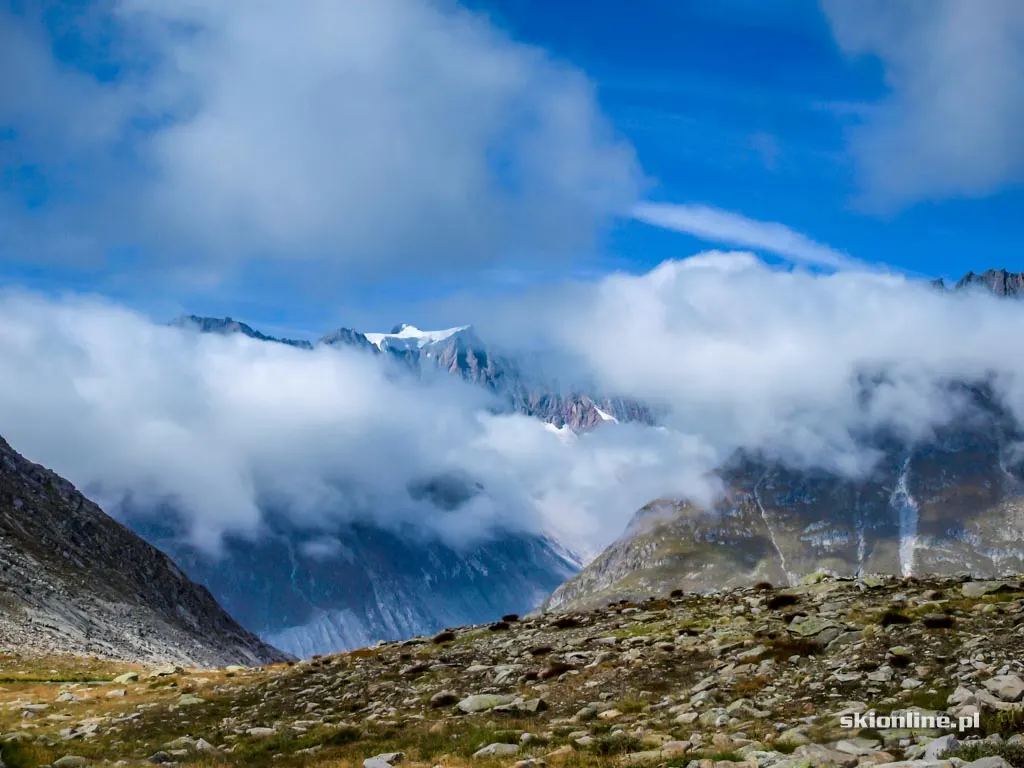 Lodowiec Aletsch w Szwajcarii, zdjęcie 6