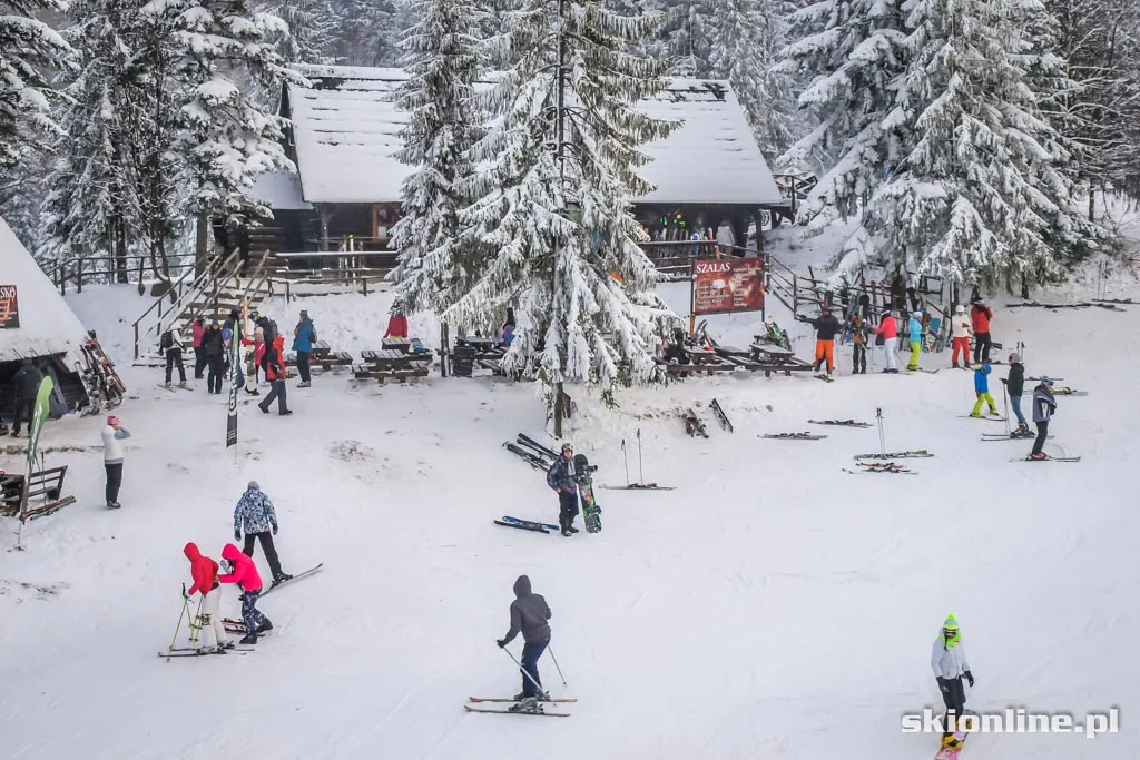 Dwie Doliny warunki narciarskie 2.01.2015, zdjęcie 11