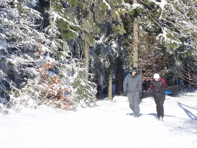 Zima w Beskidach: Szyndzielnia, zdjęcie 8