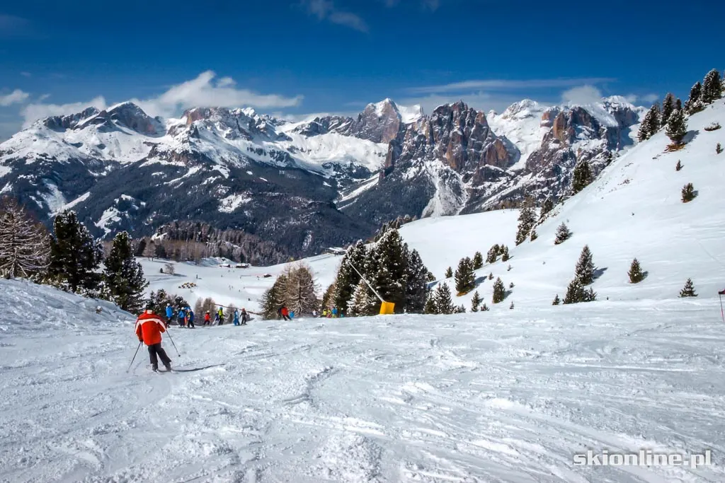 Val di Fassa, Trentino: Ciampac, Buffare 03.2016, zdjęcie 26