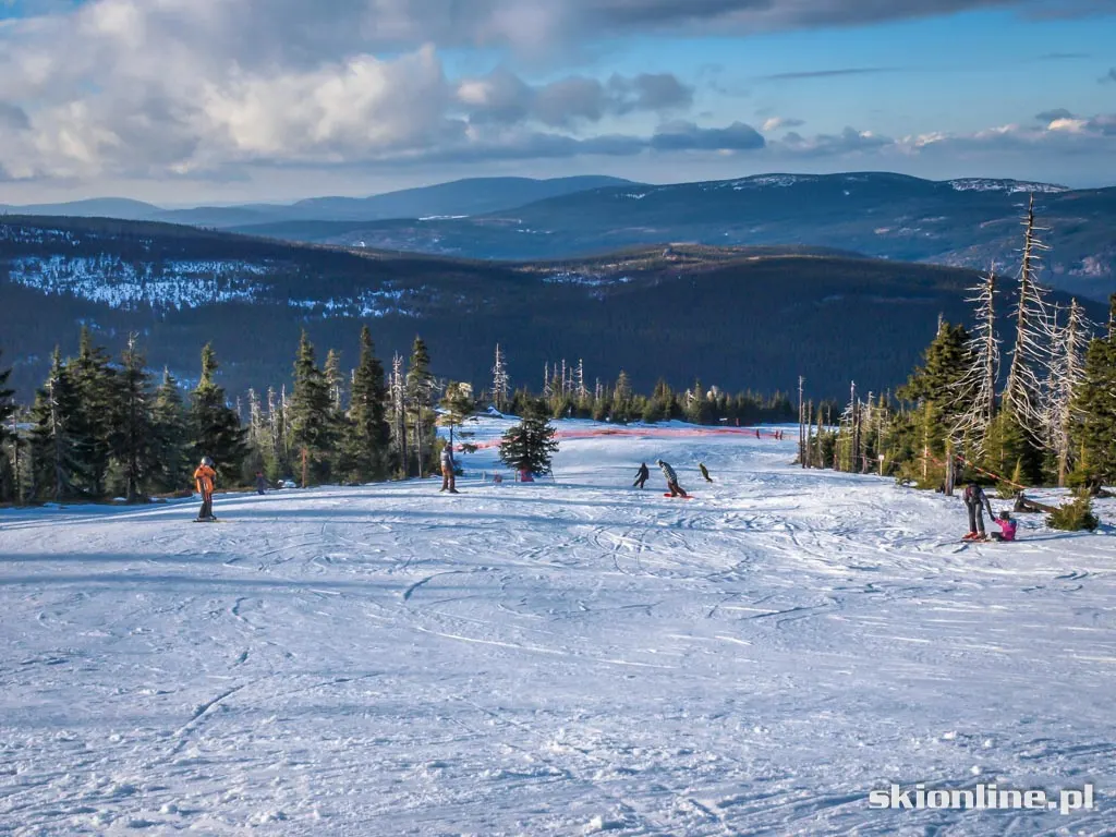 Ski Arena Szrenica. Koniec stycznia 2016, zdjęcie 10