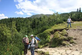 Czerwonym na Babią Górę 1725 m, zdjęcie 67
