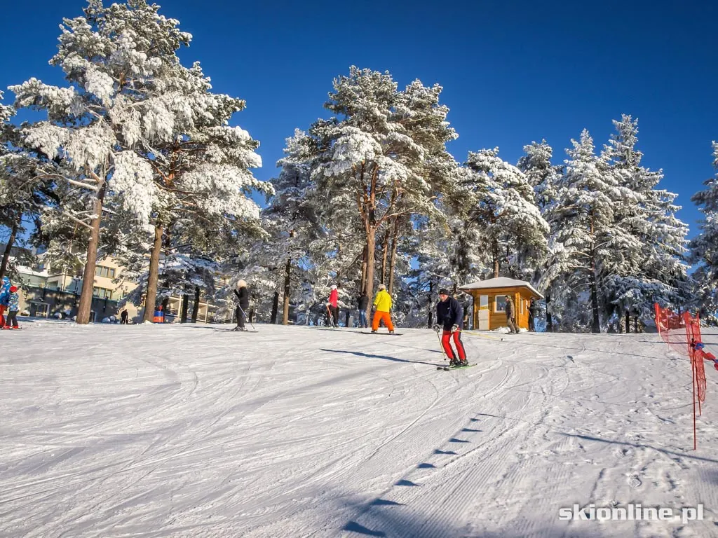 Arłamów: warunki narciarskie 2014.12.31, zdjęcie 7