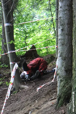 Mistrzostwa Polski Diverse Downhill, zdjęcie 182
