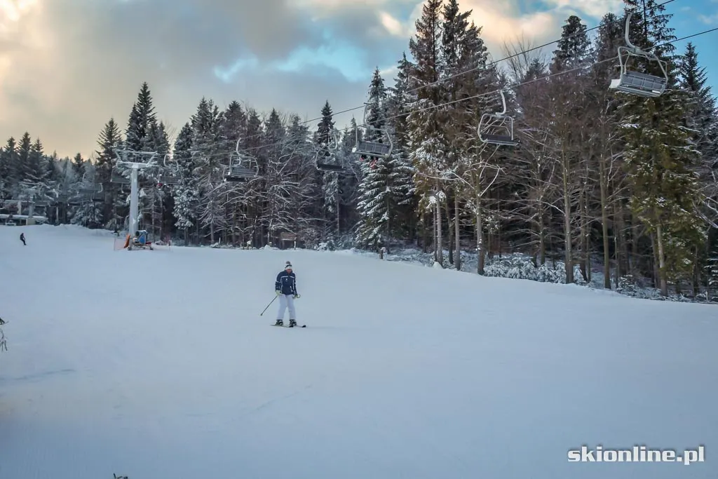 Krynica Henryk Ski: styczeń 2016, zdjęcie 3