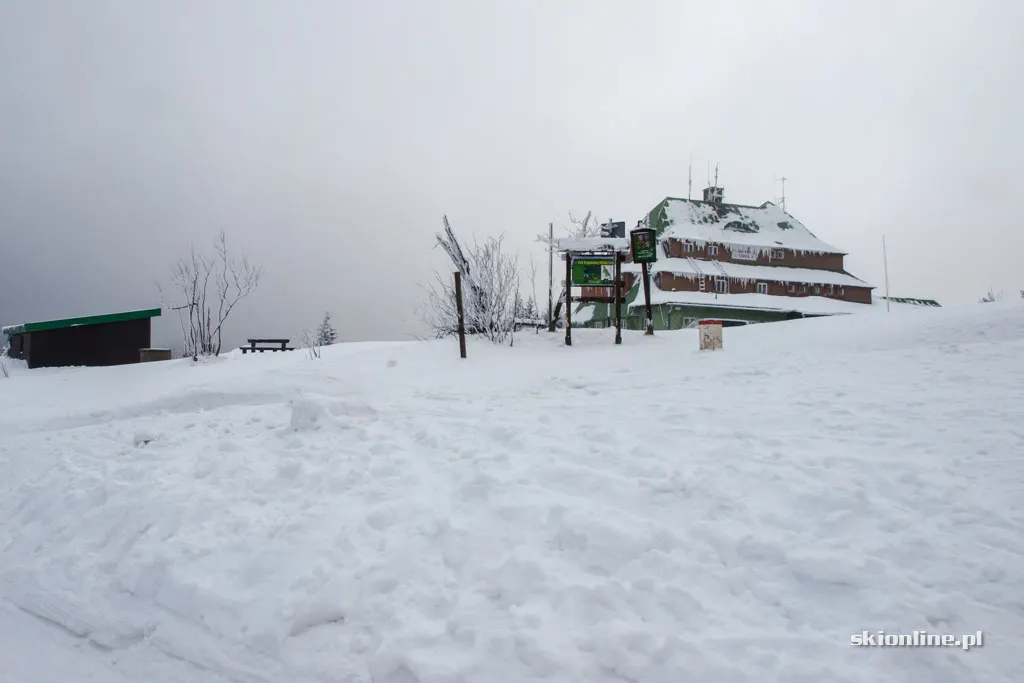 Zieleniec Ski Arena: Nartorama, zima w pełni, zdjęcie 22