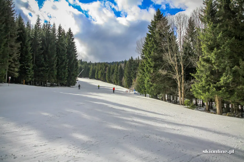 Czarna Góra początkiem marca 2019, zdjęcie 23