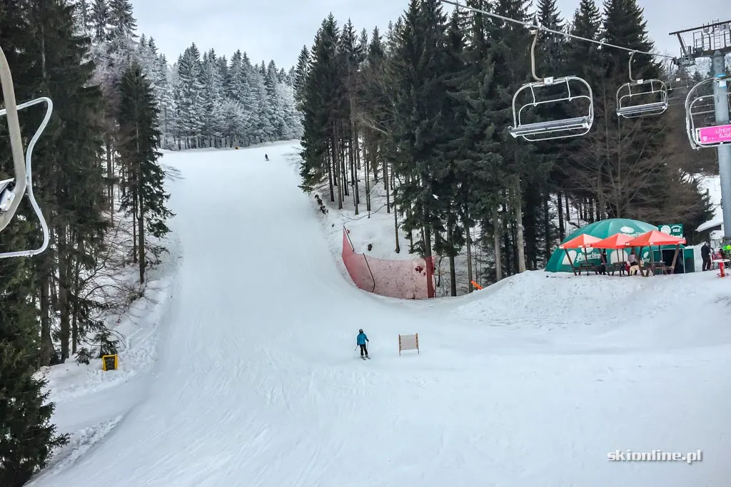 Ski centrum Říčky w Czechach, luty 2017, zdjęcie 5