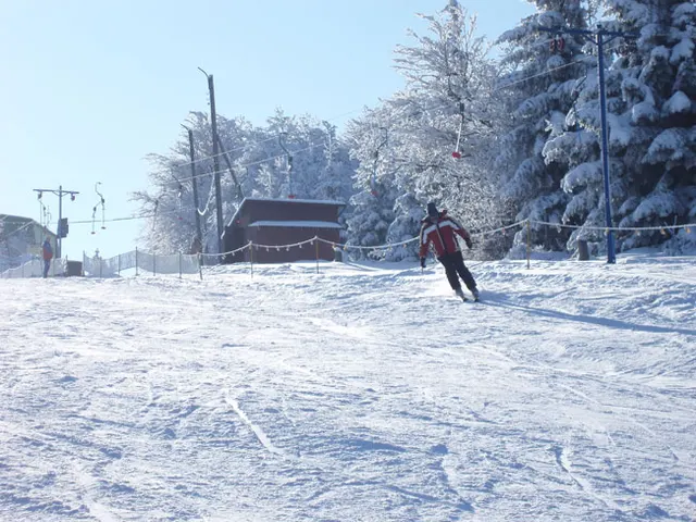 Zima w Beskidach: Szyndzielnia, zdjęcie 38