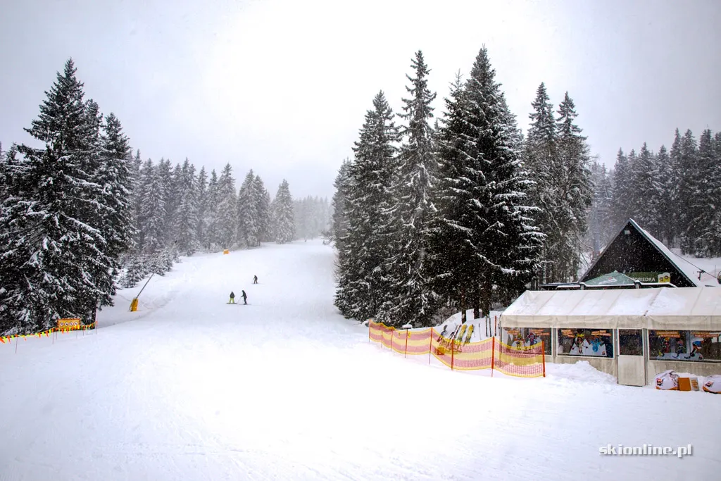 Winter Park Martinky, zdjęcie 6
