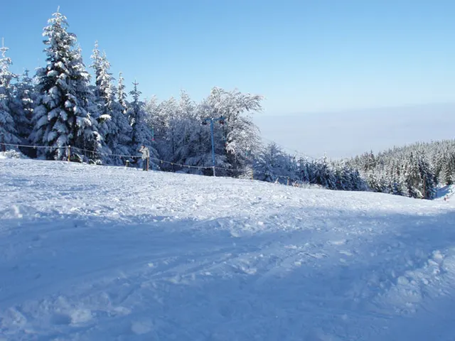 Zima w Beskidach: Szyndzielnia, zdjęcie 44