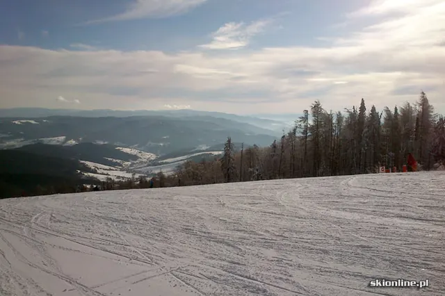 Jaworzyna Krynicka styczeń 20, zdjęcie 11