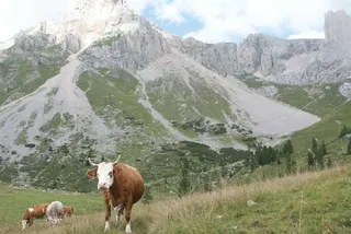 Treking w Trentino, zdjęcie 49