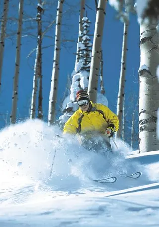 Zdjęcie 17 z galerii Freeride
