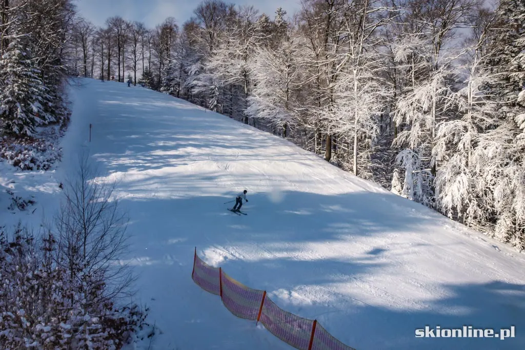 Magura Ski Park. Styczeń 2016, zdjęcie 17