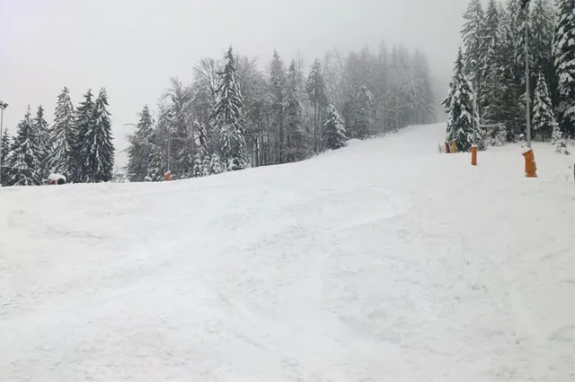 Szczyrk: SON 10.01.2012, zdjęcie 8