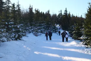 Beskidy: Szyndzielnia i Klimczok, zdjęcie 16