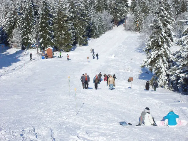 Zima w Beskidach: Szyndzielnia, zdjęcie 39