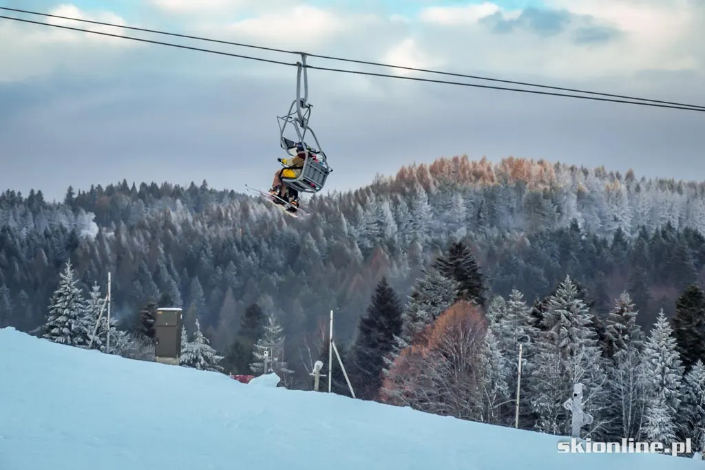 Krynica Henryk Ski: styczeń 2016, zdjęcie 7