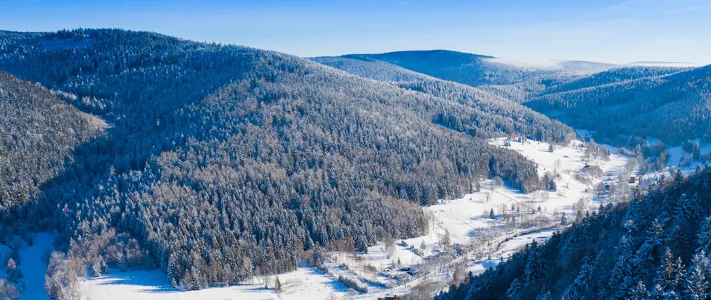 Zimowa panorama doliny Kamienicy z ośnieżonymi lasami masywu Śnieżnika i zabudową wsi