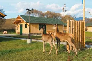 Holiday Village, zdjęcie 14