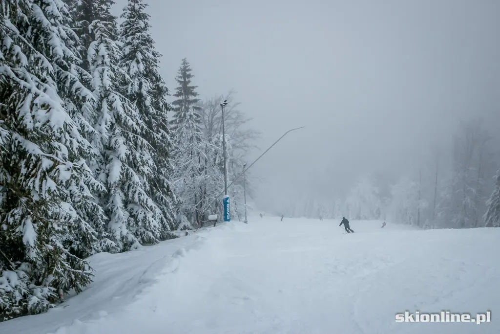 Zdjęcie 6 z galerii Szczyrk SON Golgota warunki narciarskie 1.01.2015