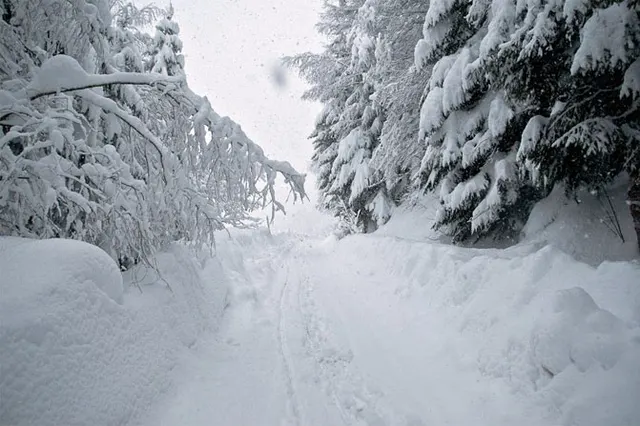 Austria pod śniegiem styczeń 2012, zdjęcie 11