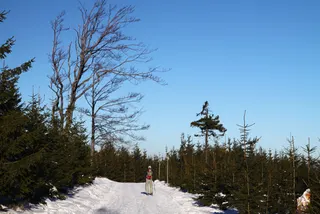 Beskidy: Szyndzielnia i Klimczok, zdjęcie 51