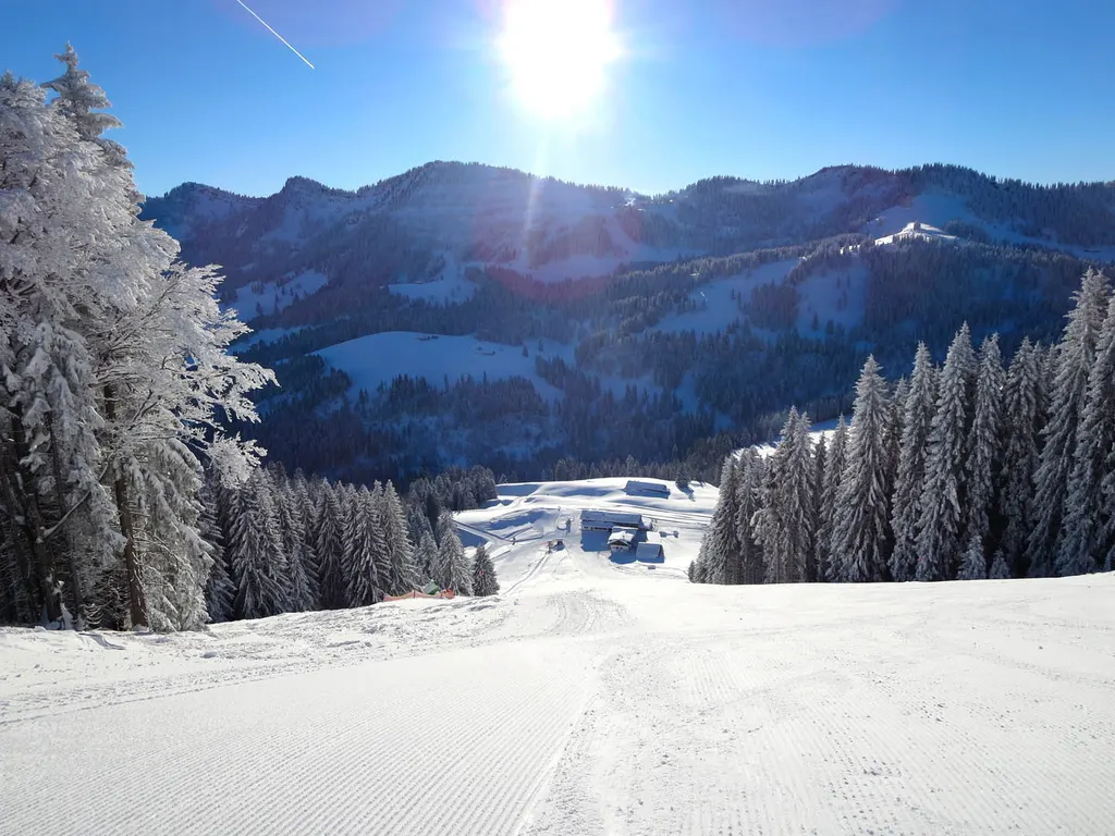 Imbergbahn & Skiarena Steibis
