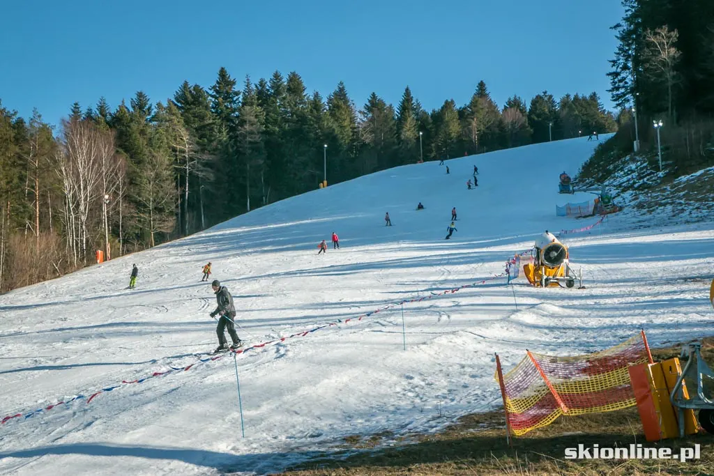 Kasina Wielka SN Śnieżnica 2015-01-16, zdjęcie 6