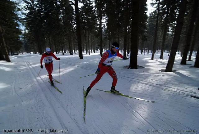 Zdjęcie 14 z galerii Salomon Nordic Sunday 8