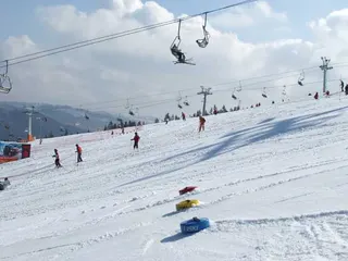 Wiosna na Kotelnicy, zdjęcie 35