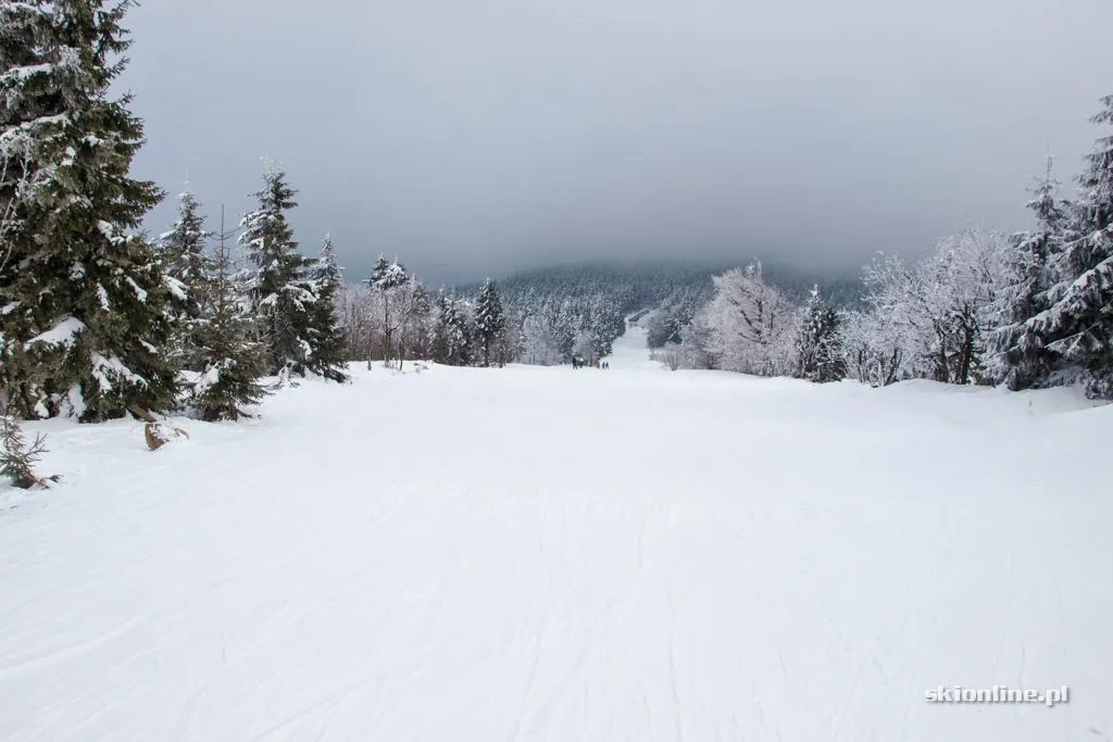 Zieleniec Ski Arena: Nartorama, zima w pełni, zdjęcie 23