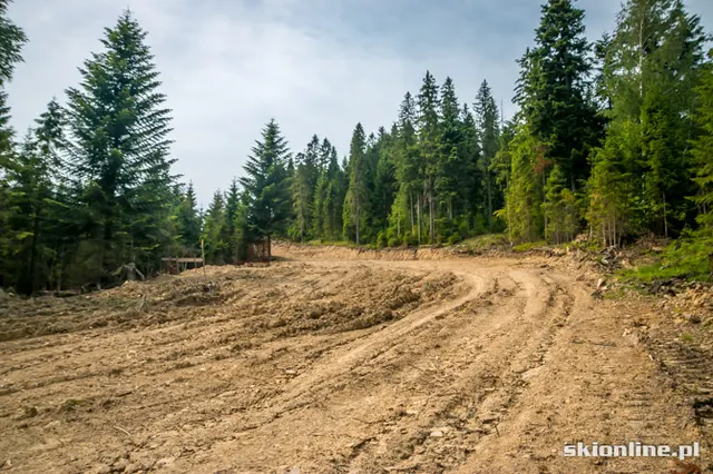 Trasa zjazdowa Wisła: Skolnity, zdjęcie 13