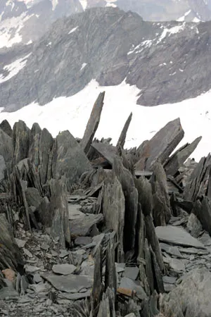 Zdjęcie 47 z galerii CampuS Explorers: Grossglockner 2004