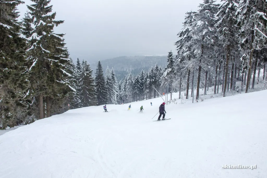 Zieleniec Ski Arena - Nartorama, zima w pełni
