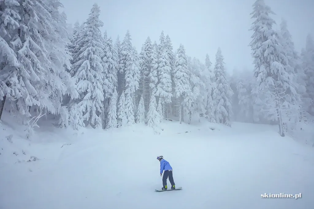 Szczyrk Mountain Resort. Sezon 18/19 otwarty, zdjęcie 16