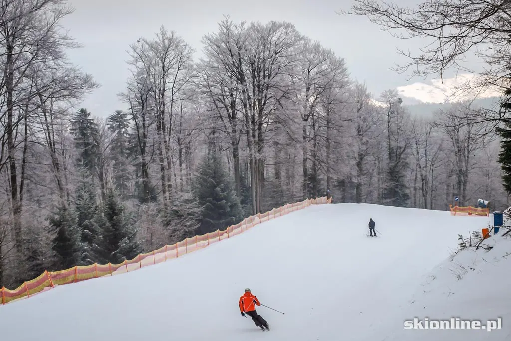 Magura Małastowska 2015-01-16, zdjęcie 9