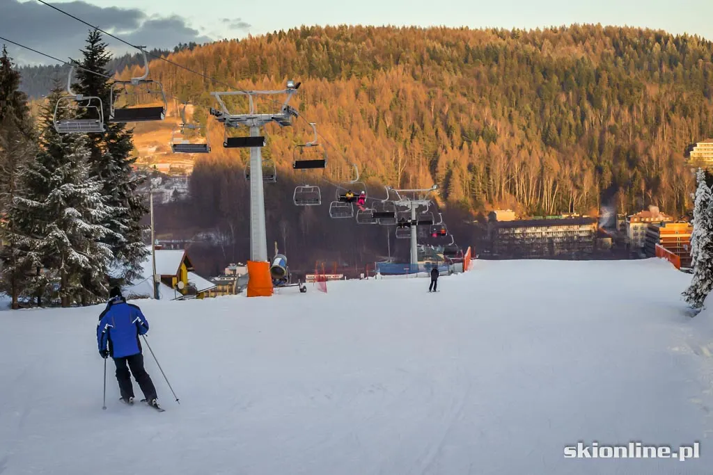 Krynica Henryk Ski: styczeń 2016, zdjęcie 2