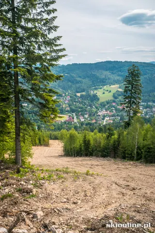 Trasa zjazdowa Wisła: Skolnity, zdjęcie 15