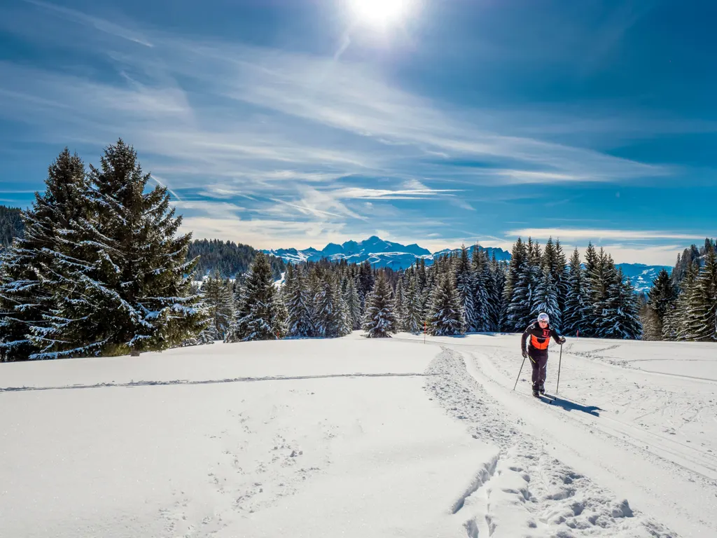 Praz de Lys-Sommand